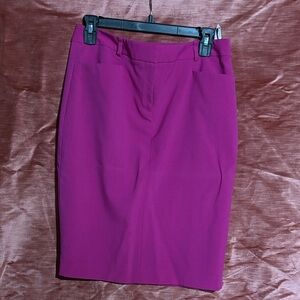 Elegant Pink Women's Skirt